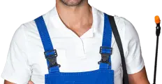Cassini Pest control provides work for all kinds of pest control and especially against termite cont