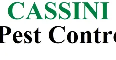 Cassini Pest control provides work for all kinds of pest control and especially against termite cont